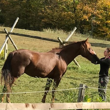 D & K Ranch Martha East Interlaken Ngoại thất bức ảnh