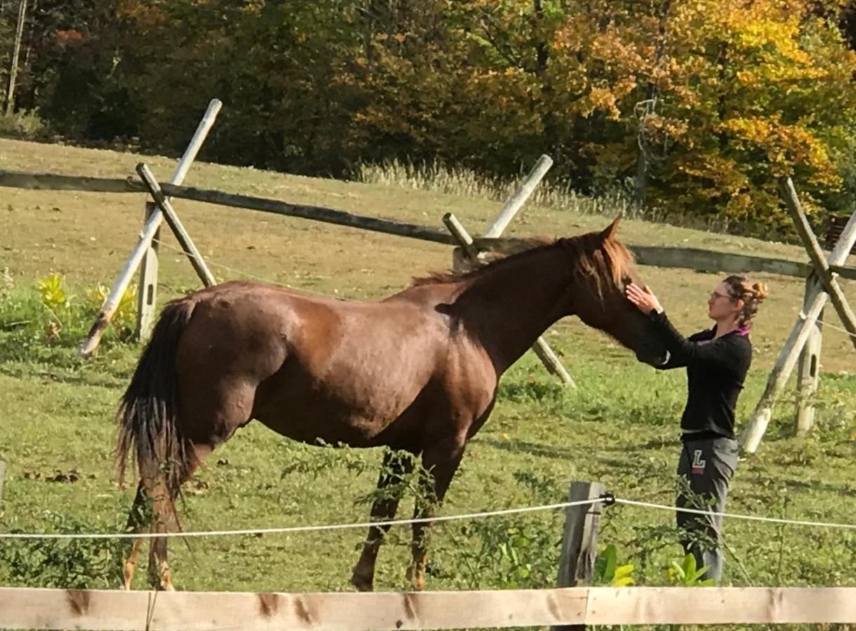 D & K Ranch Martha East Interlaken Ngoại thất bức ảnh